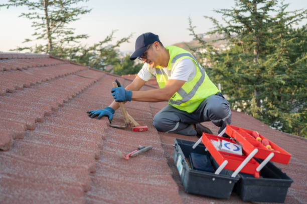 Best New Roof Installation  in Burke, VA