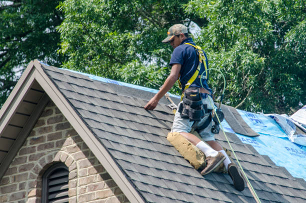 Professional Roofing Contractor in Burke, VA